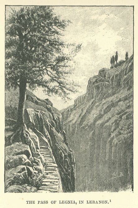 028.jpg the Pass of Legnia, in Lebanon