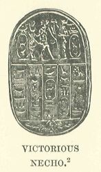 378.jpg Victorious Necho