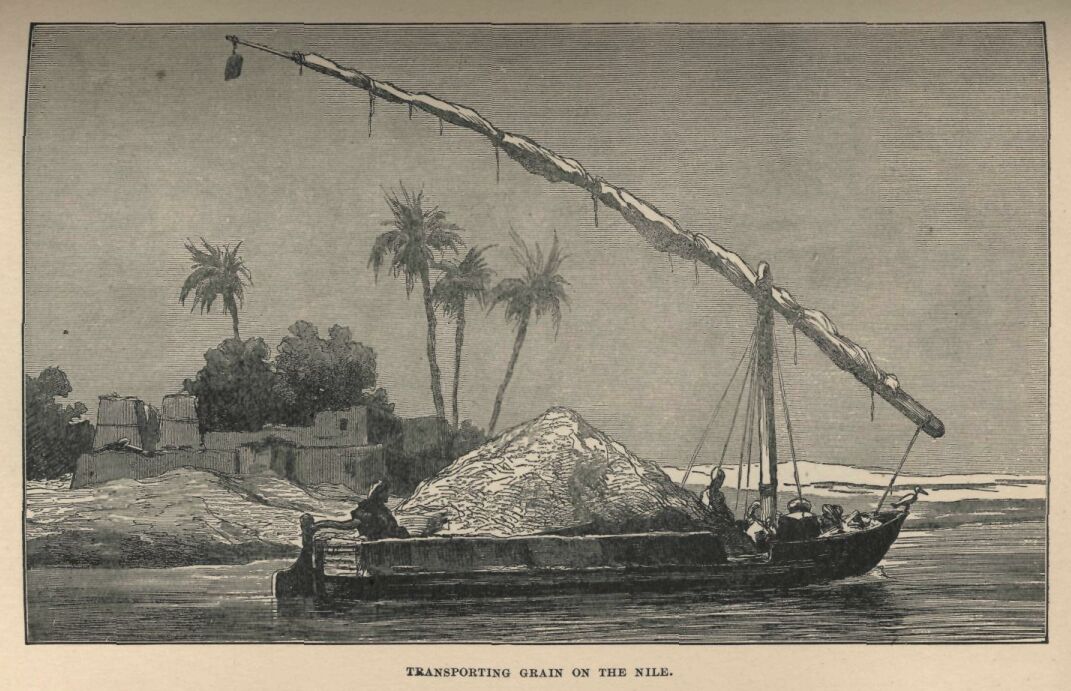 019.jpg Transporting Grain on the Nile
