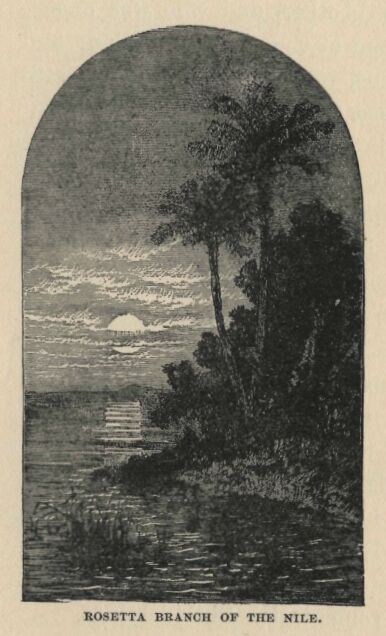 112.jpg Rosetta Branch of the Nile