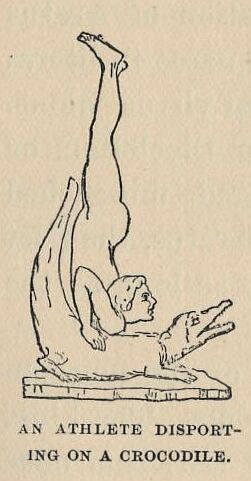 128.jpg an Athlete Disporting on a Crocodile