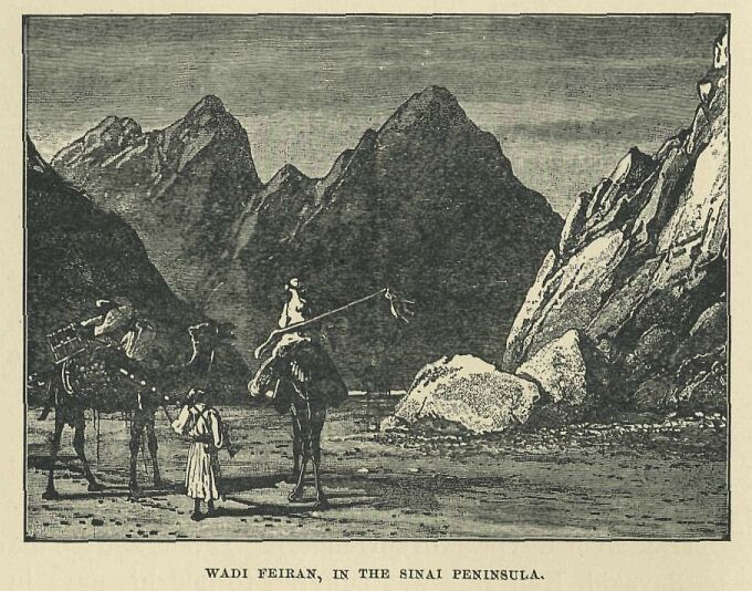 076.jpg Wadi Feiran, in the Sinai Peninsula