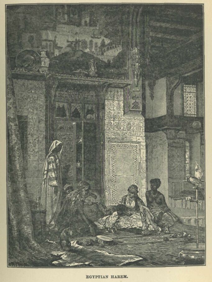 173.jpg Egyptian Harmem