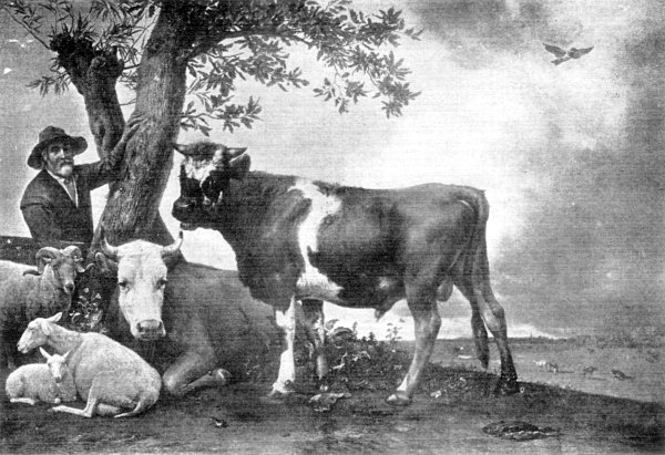 The Bull. The Bull. Paul Potter.