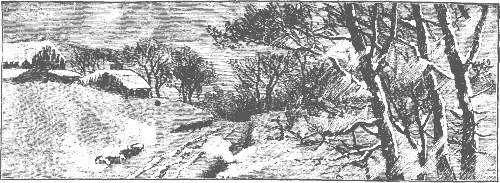 Chapter header Chapter header