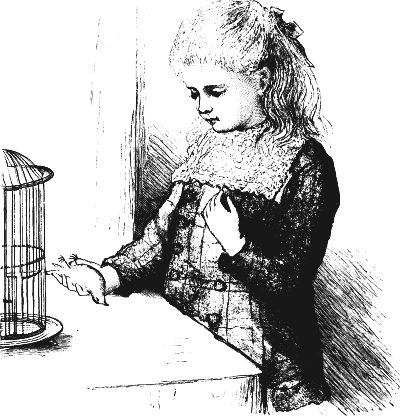 The dead bird The dead bird