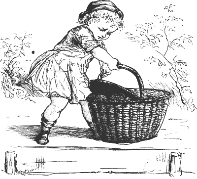 Albert and the basket. Albert and the basket.