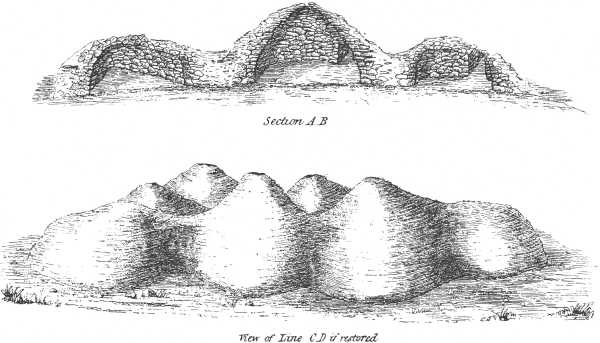 PLATE VIII. PLATE VIII.
