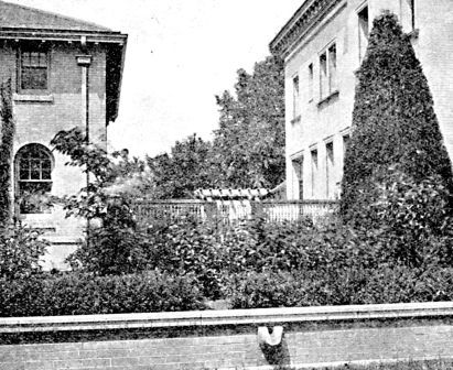 Pergola over garden gate, with planting to screen kitchen garden, in Minneapolis.