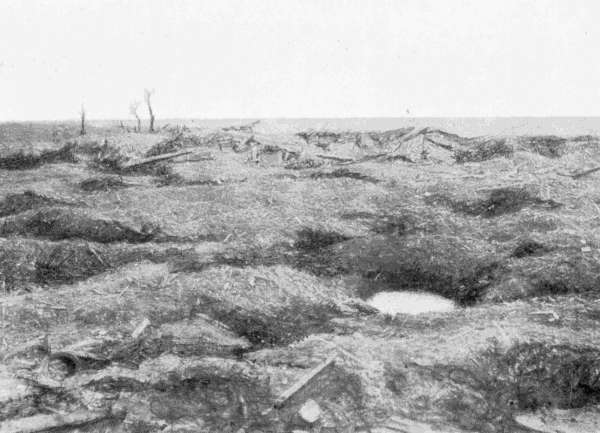 MOQUET FARM MOQUET FARM