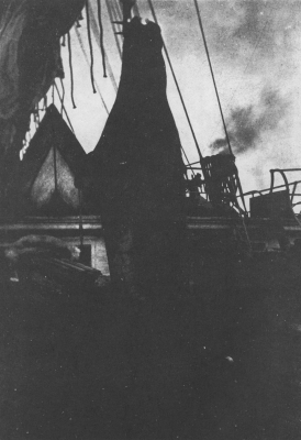 HOISTING A WALRUS TO THE DECK OF THE ROOSEVELT HOISTING A WALRUS TO THE DECK OF THE ROOSEVELT