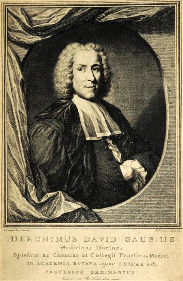 Jeroen David Gaub (Hieronymus David Gaubius) painting of Gaub