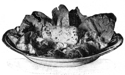 Salad of Lettuce with Cheese and Vegetable Macedoine. Salad of Lettuce with Cheese and Vegetable Macedoine.