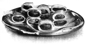 Mushroom Cromeskies. Mushroom Cromeskies.