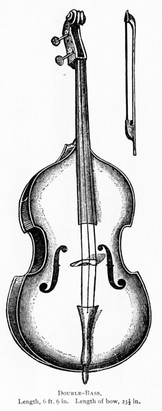 double bass double bass
