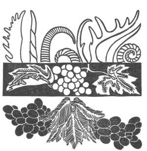 The Story of an Enchanted Maiden The Story of an Enchanted Maiden