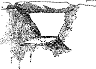 roof drain roof drain