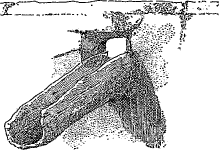 roof drain roof drain