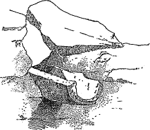 roof drain roof drain