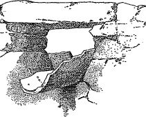 roof drain roof drain