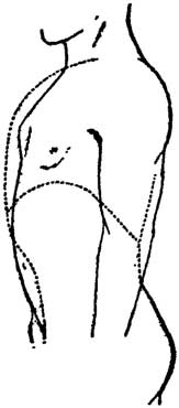 Fig. 44