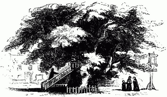 "THE GOLDEN GROVE." Illustration: "THE GOLDEN GROVE."