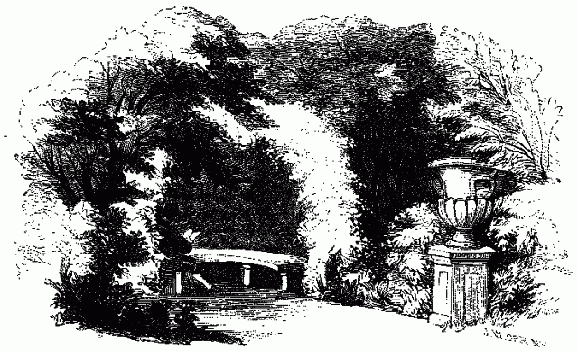 FOX'S ARBOR. Illustration: FOX'S ARBOR.
