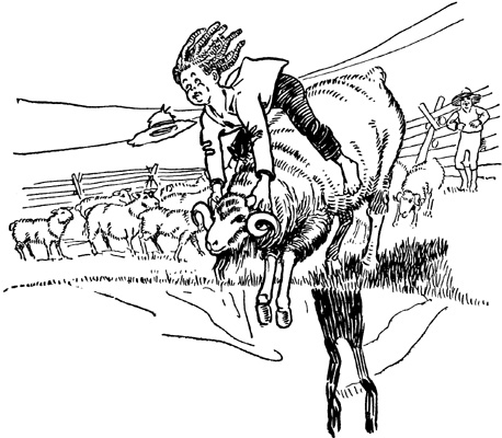 Alfred's Ride Alfred's Ride