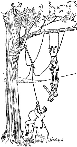 The Aerialist's Debut The Aerialist's Debut