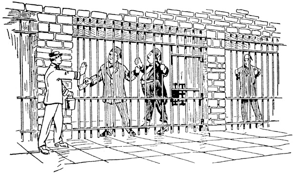 An Evening at Maple Villa An Evening at Maple Villa