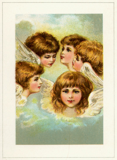 Cherub portrait Cherub portrait