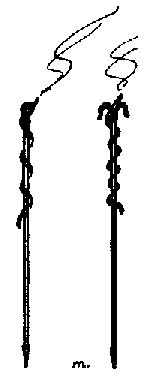 Figure 18—LINSTOCKS Figure 18—LINSTOCKS