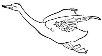 How little did I dream of so much happiness when I was the despised Ugly Duckling. How little did I dream of so much happiness when I was the despised Ugly Duckling.