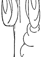 The genie disappeared, but returned in an instance with twelve silver dishes. The genie disappeared, but returned in an instance with twelve silver dishes.