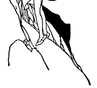 At the top of this mountain there is an enchanted castle. At the top of this mountain there is an enchanted castle.