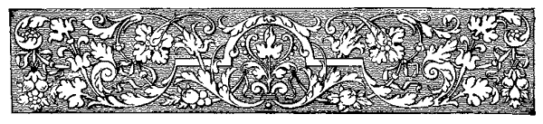 Decorative  page header Decorative  page header