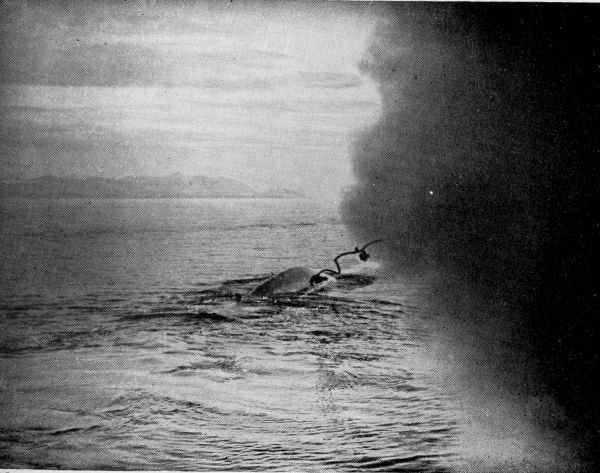 Finback Whale being struck with the Harpoon; the instant of discharge. Finback Whale being struck with the Harpoon; the instant of discharge.