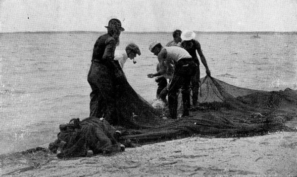 Here's a New One, Boys! Here's a New One, Boys!