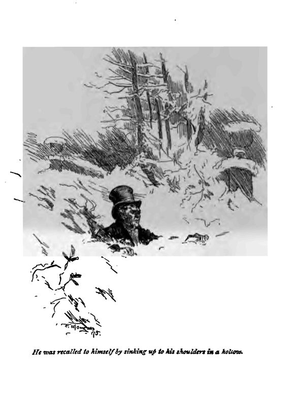 Sinking up to his Shoulders in a Hollow 225-196