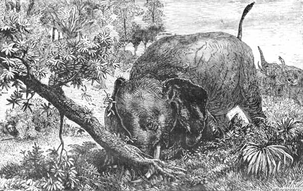 TESTING HIS STRENGTH.