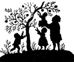 A stroll amidst the rural scene