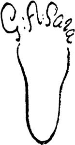 "Six Toes" Signature