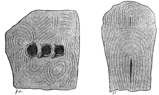 Fig. 38/39. Sculptured Stones. Gavr' Inis.