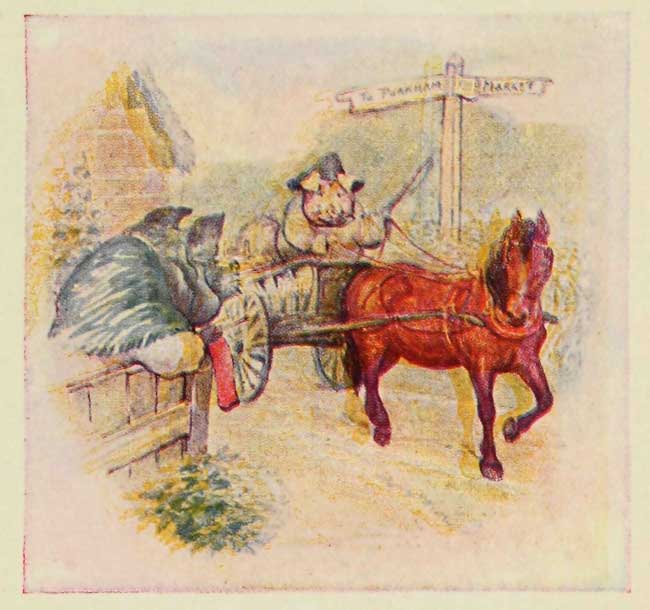 This pig went to market