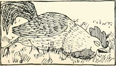 when he found a bean