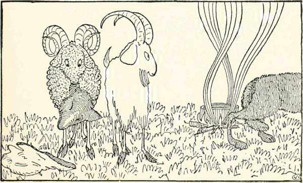 never so much as looked back