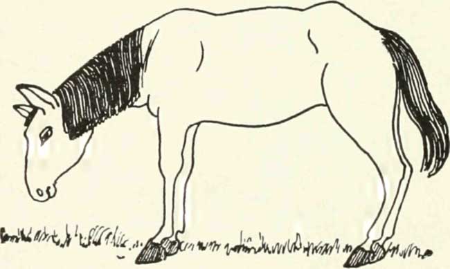 But the horse answered