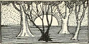 the sun will soon be rising