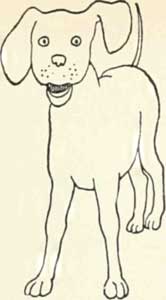 But the doggie outside said