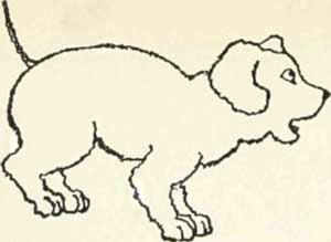 But the doggie outside said